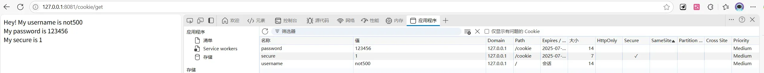 在 localhost 上 Secure Cookie 仍被发送