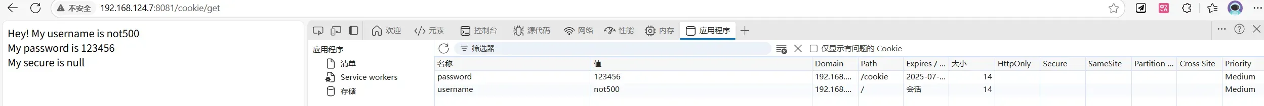 在局域网 IP 地址下查看 Cookie，Secure Cookie 未被发送